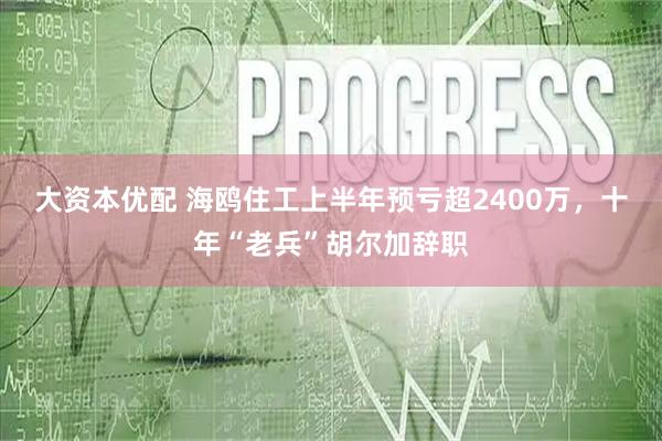 大资本优配 海鸥住工上半年预亏超2400万，十年“老兵”胡尔加辞职