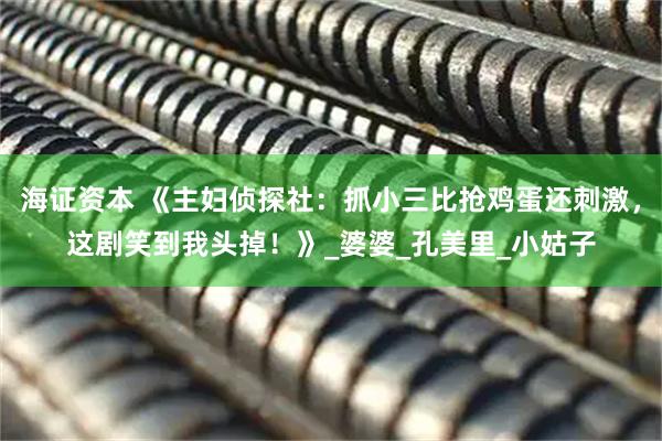 海证资本 《主妇侦探社：抓小三比抢鸡蛋还刺激，这剧笑到我头掉！》_婆婆_孔美里_小姑子